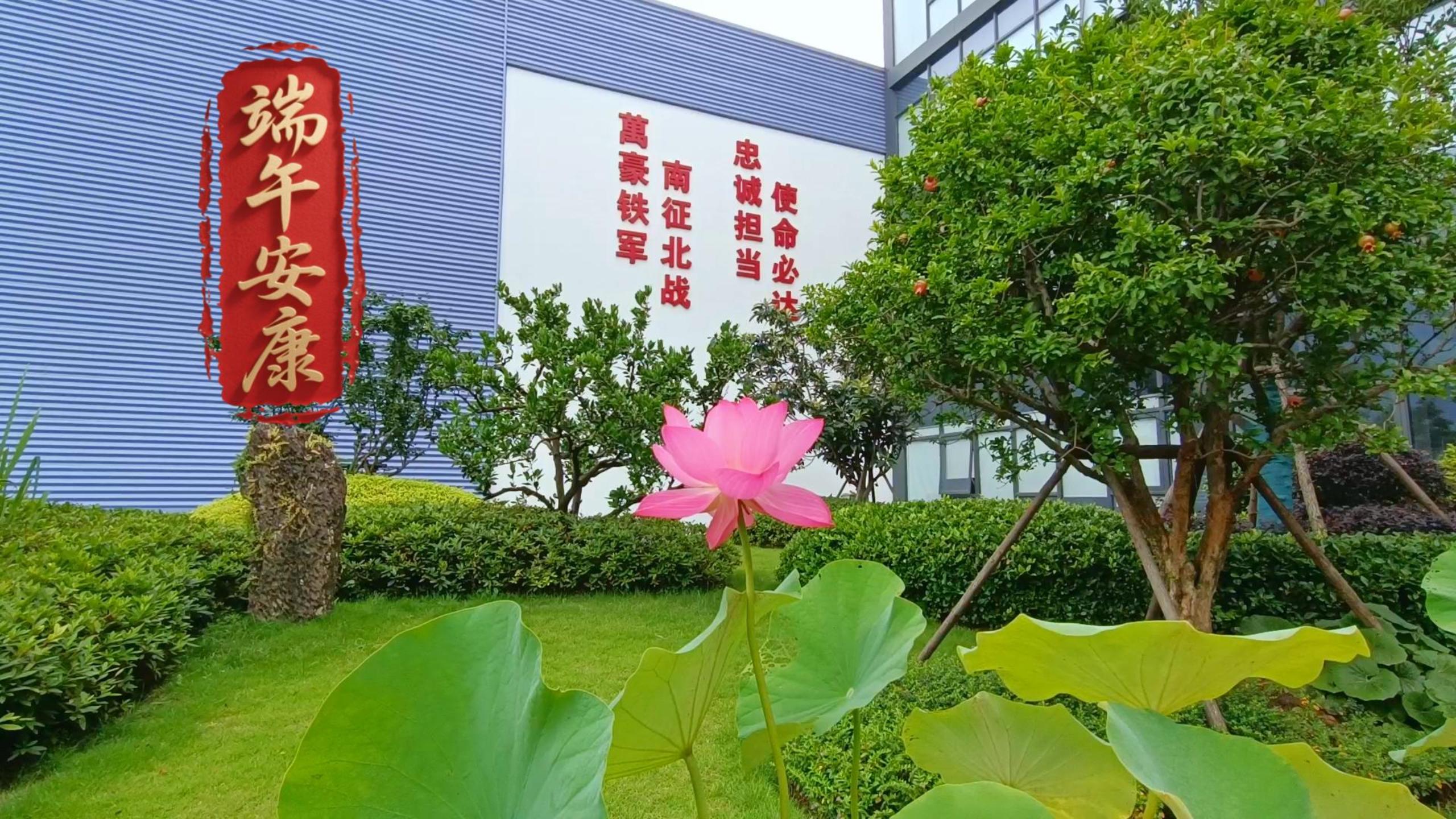 歲歲安康，粽享溫情